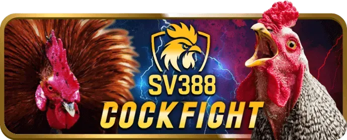 Ưu đãi độc quyền cho thành viên VIP